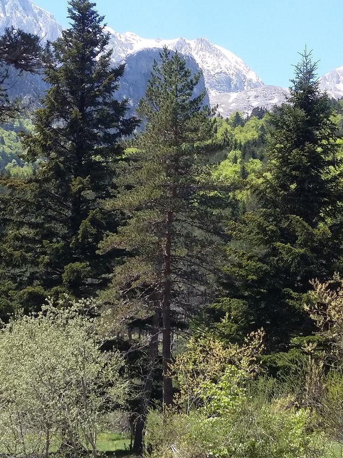 Hospederia Prepirineo Hotel Undués-Pintano Kültér fotó